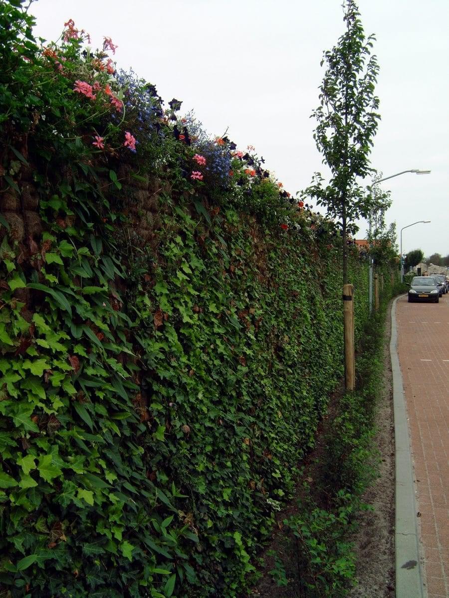 afbeelding "i_NL.IMRO.1699.2015BP025-ow03_0009.jpg"