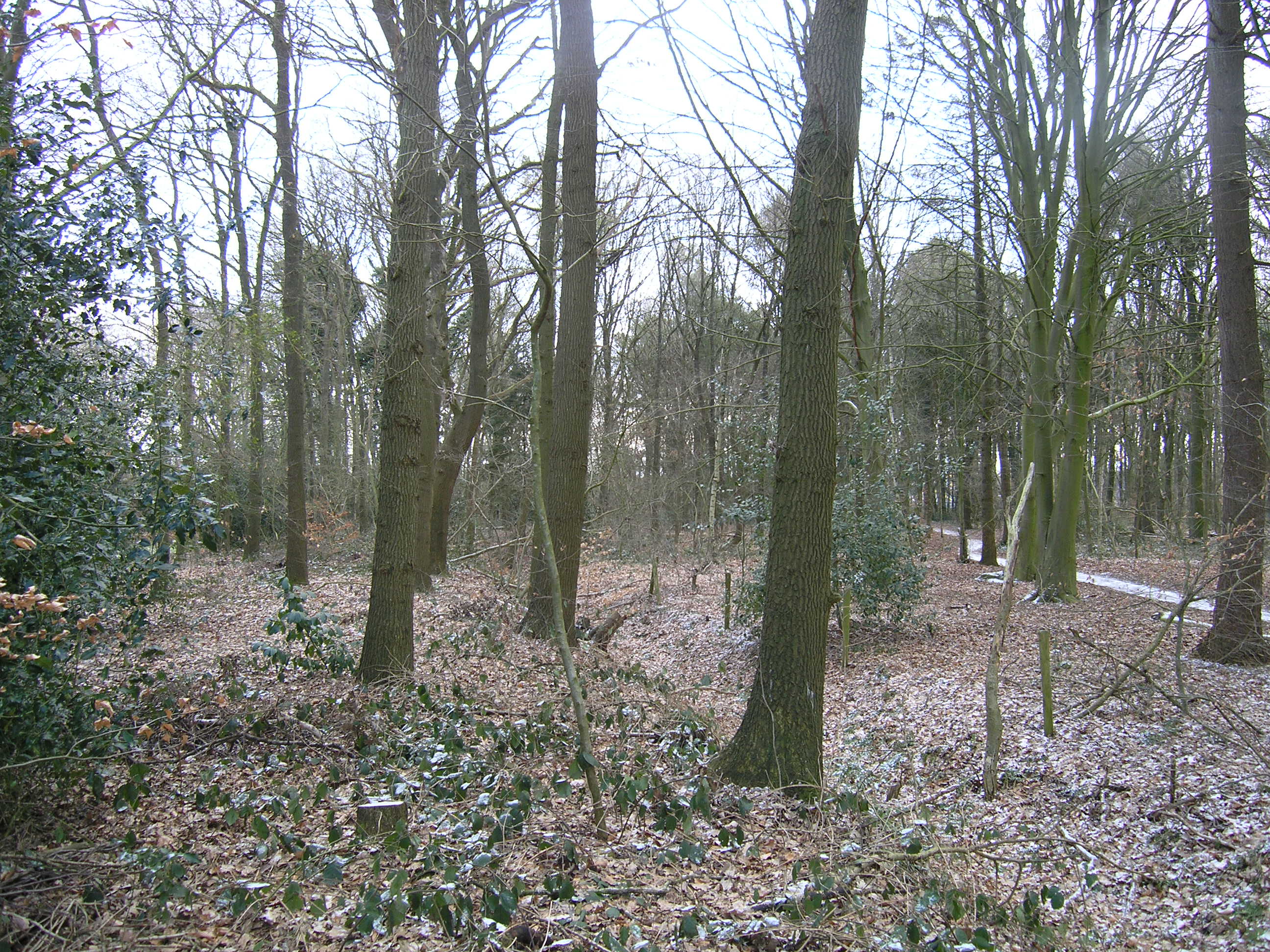 afbeelding "i_NL.IMRO.1699.2018BP071-ow01_0006.jpg"