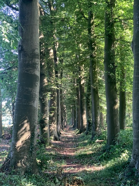 afbeelding "i_NL.IMRO.1699.2022BP106-on01_0002.jpg"