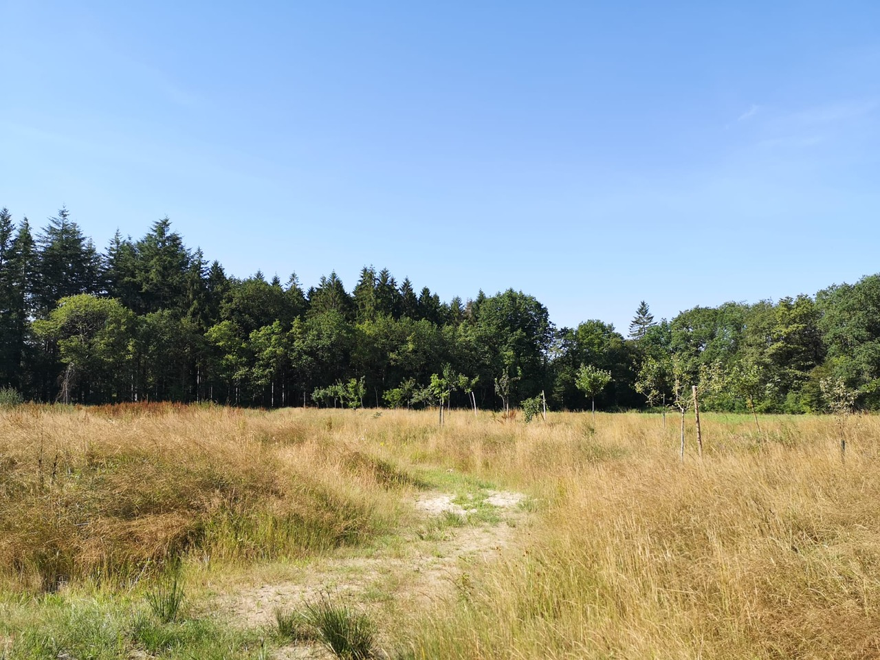 afbeelding "i_NL.IMRO.1699.2022BP106-on01_0003.png"