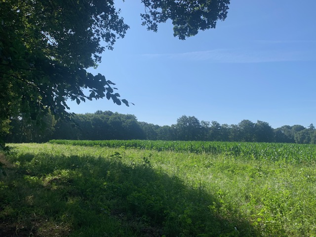 afbeelding "i_NL.IMRO.1699.2022BP106-on01_0004.jpg"