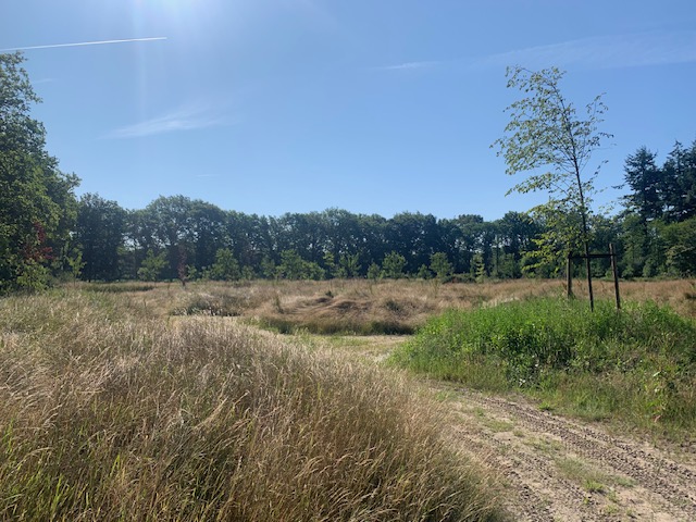 afbeelding "i_NL.IMRO.1699.2022BP106-on01_0006.jpg"