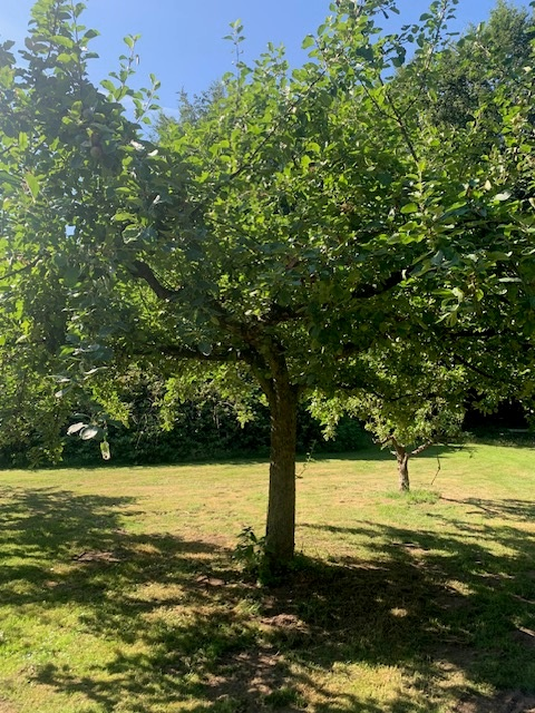 afbeelding "i_NL.IMRO.1699.2022BP106-on01_0008.png"