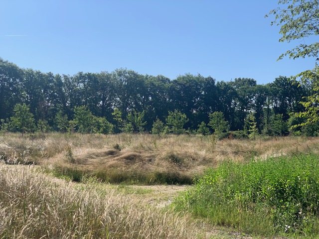 afbeelding "i_NL.IMRO.1699.2022BP106-on01_0009.jpg"