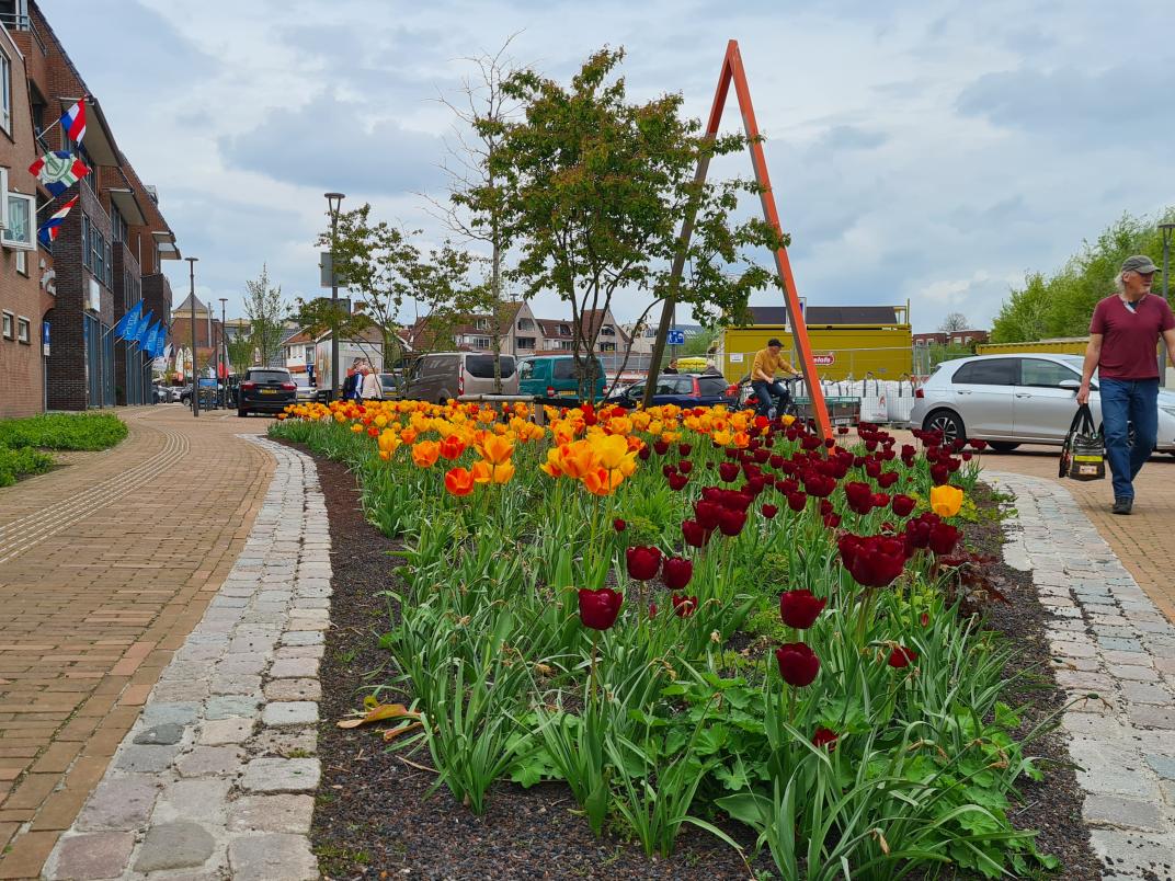 Perk met gele, oranje en donkerrode tulpen